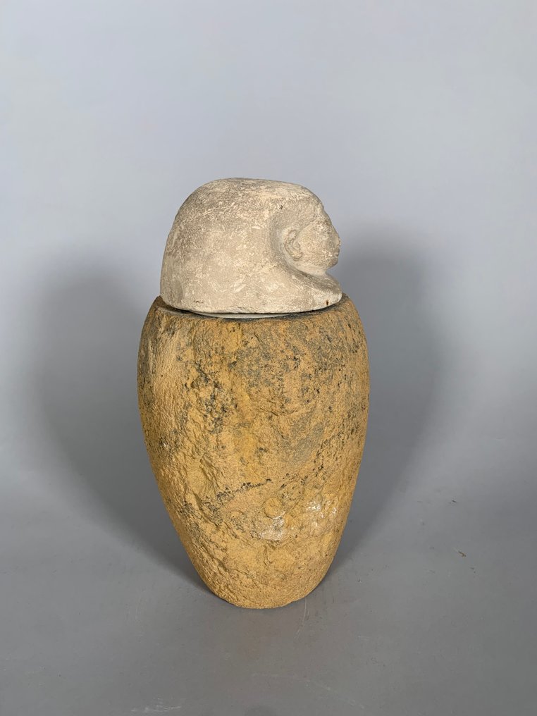 Det Gamle Egypten, Den Sene Periode terrakotta Canopic Vase og kalksten Canopic prop. - 30 cm #3.2
