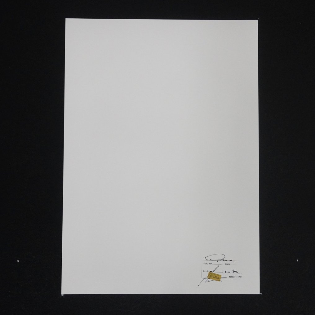 Prince "Purple Rain" 1984 - Fine Art Photographie - XL 42x30 cm - Limited Edition - Gallery Stamp & Curator signature - Collector - No Reserve #1.2