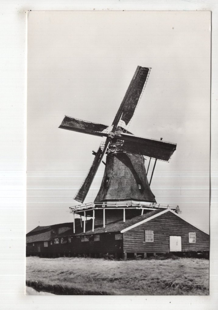 Ολλανδία - Netherlands Mills Όμορφη συλλογή από καρτ ποστάλ Ανεμόμυλοι - Ολλανδία Θέμα Μύλος Όμορφη Συλλογή - Καρτ-ποστάλ (96) - 1900-1980 #2.1